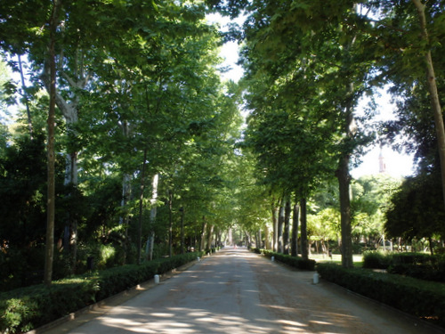 Walking through the Jardines (Gardens) of Alkazar.